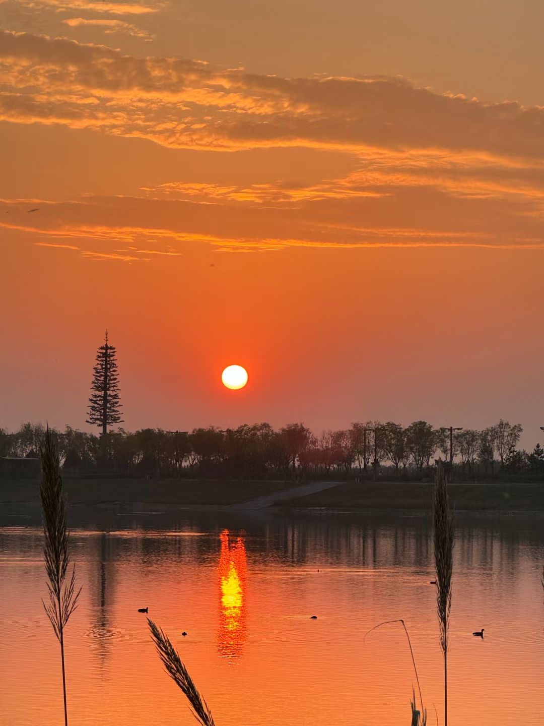 圣音寺实景照片