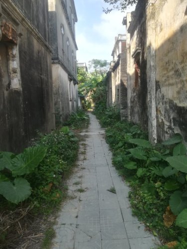 荣桂坊旅行图片 3