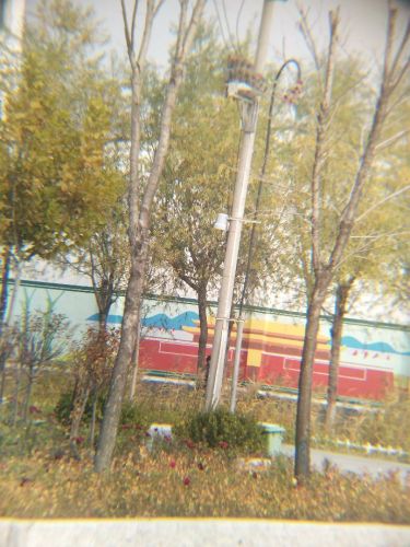 姜楼镇人民公园旅行图片 1