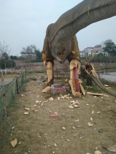 万花谷旅行图片 3