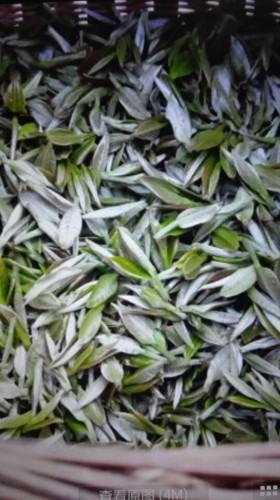 丹霞天雄生态观光茶园旅行图片 3
