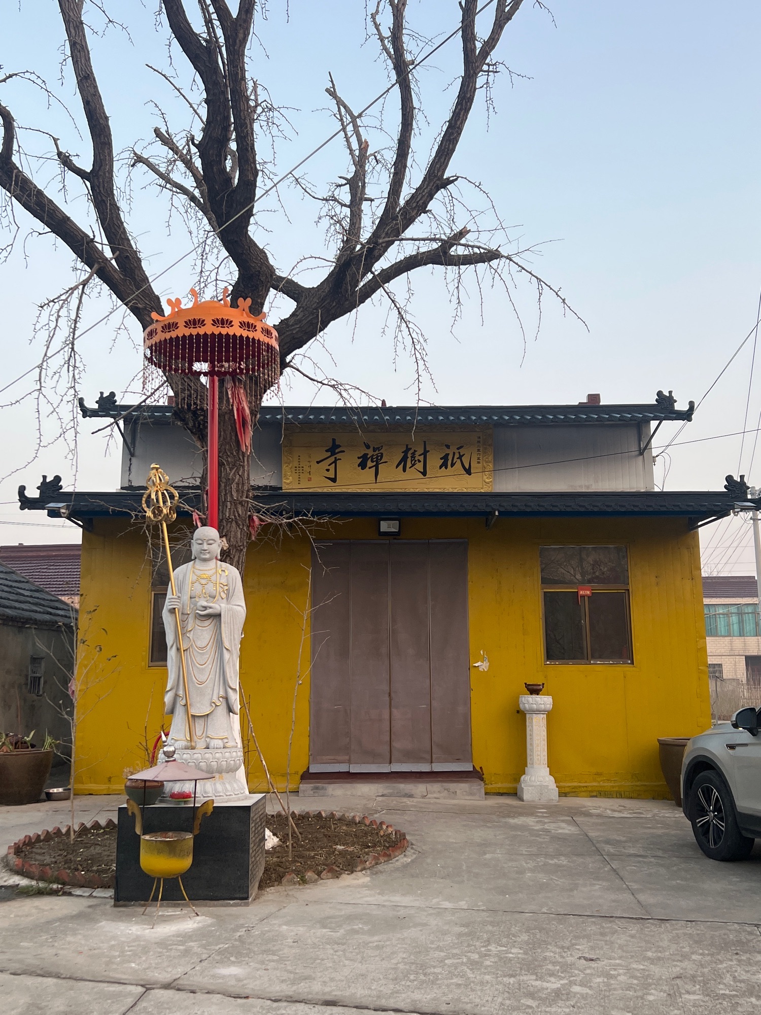 祇树禅寺实景照片