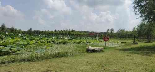 平舆县植物园旅行图片 1