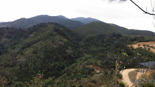 兴业县卖酒镇苍院村石牙峰景区旅行图片 2