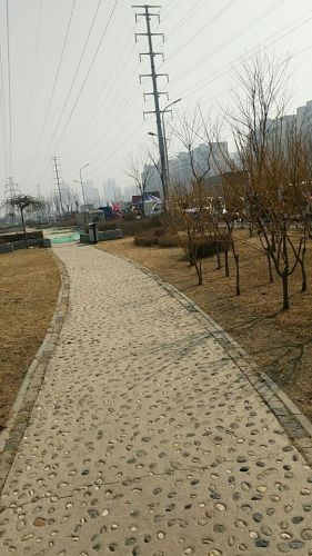 慕侠公园旅行图片 1