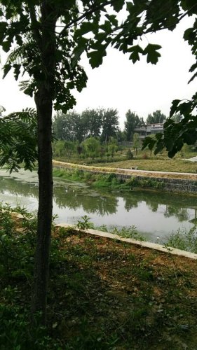 汤河公园旅行图片 3