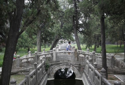 曲阜明故城旅行图片 3