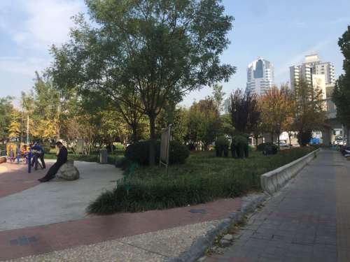 关虎屯游园旅行图片 1