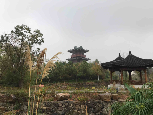浦江县月泉书院遗址公园旅行图片 2