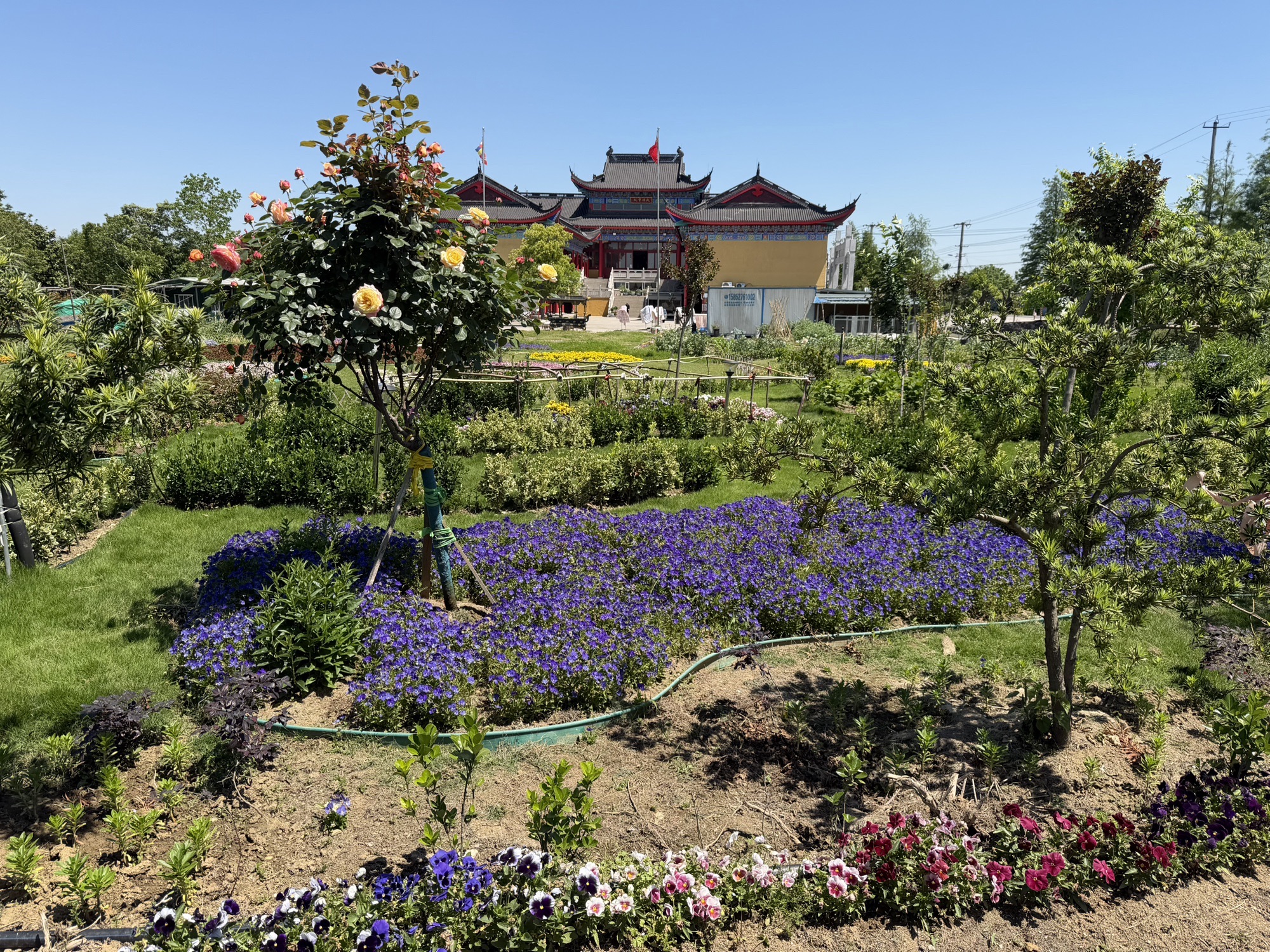 江阴普济禅寺实景照片