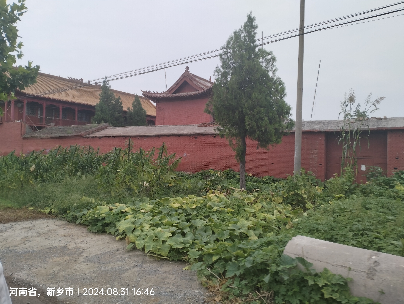 卫辉市西南庄大悲寺实景照片