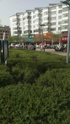 凤舞广场旅行图片 2