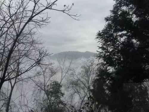 长龙山风景区旅行图片 1