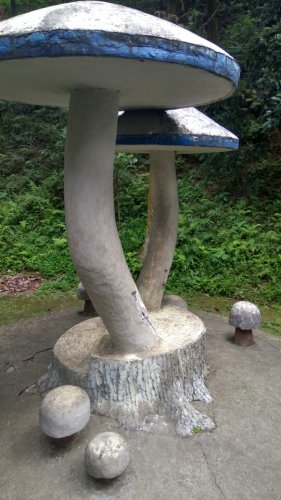 文峰塔景区旅行图片 3