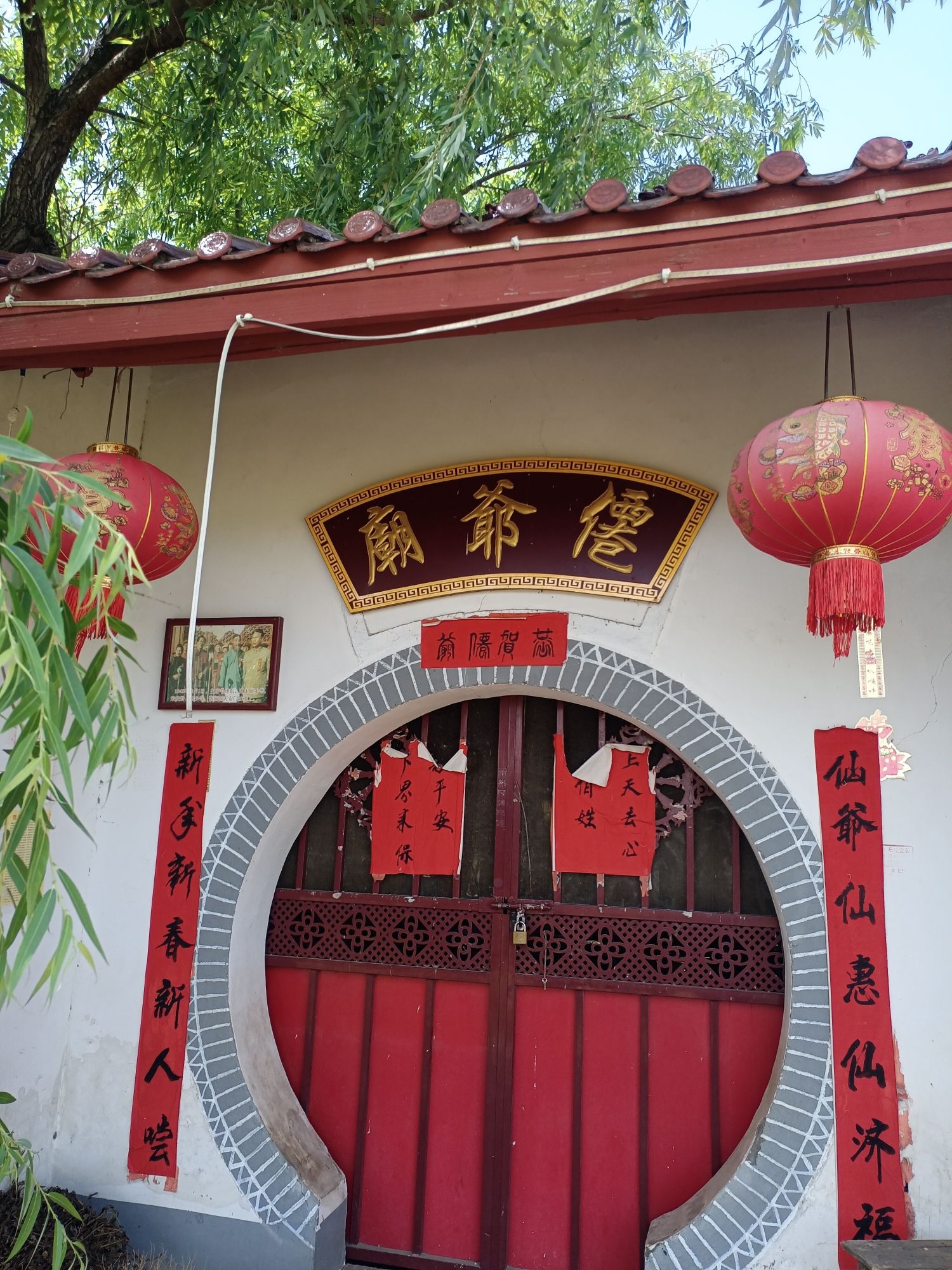 蒋庄大柳树仙爷庙实景照片