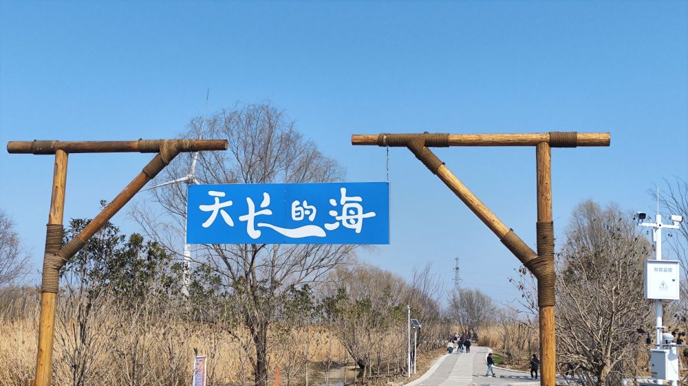 天长的海景点图片