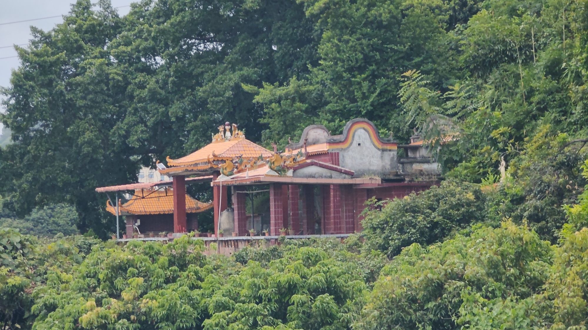 公行圣庙实景照片