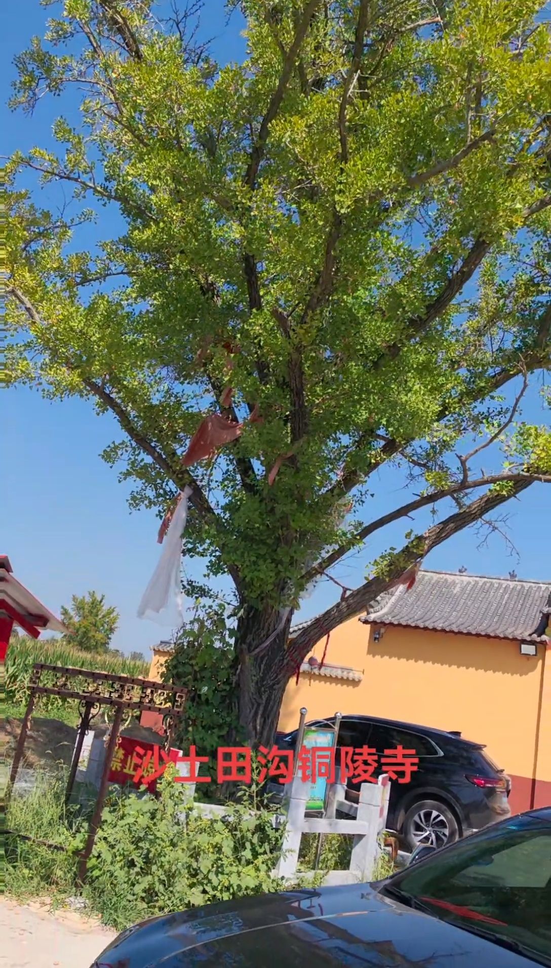 沙土镇田大村铜陵寺实景照片