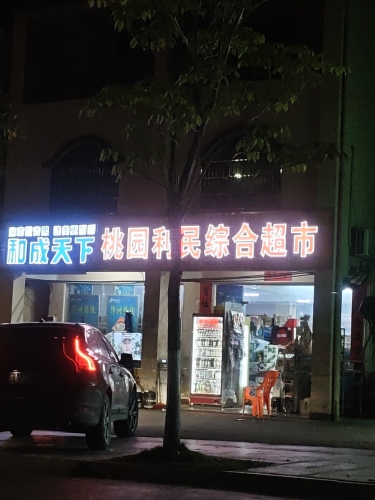 桃园利民综合超市