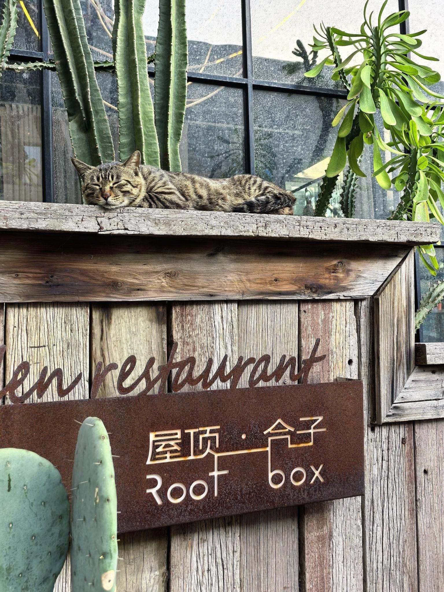 屋顶·合子花园餐厅(华茂花园店)