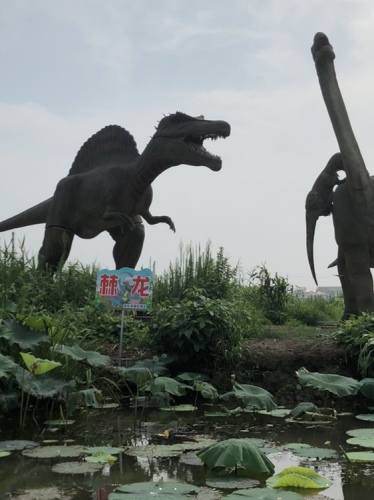 荷园旅行图片 2