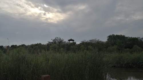 龙居黄河森林旅游区旅行图片 3