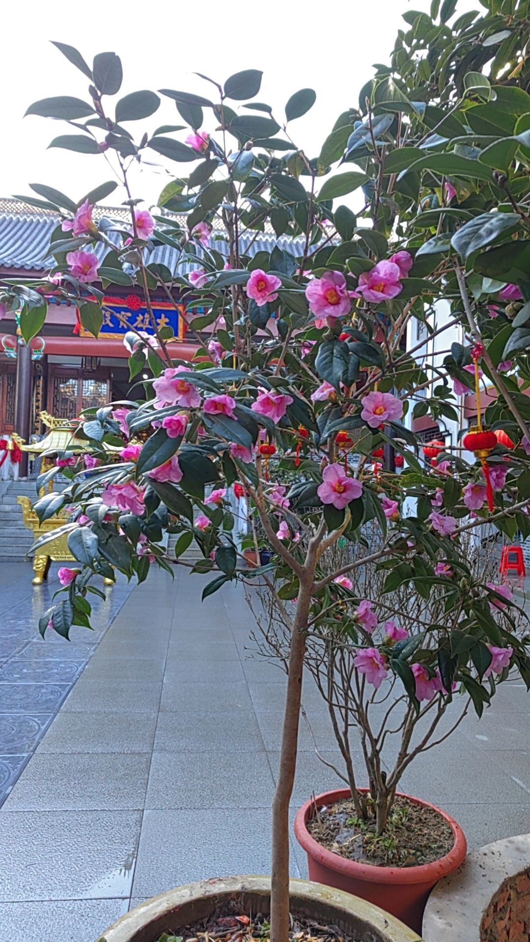 长乐寺实景照片