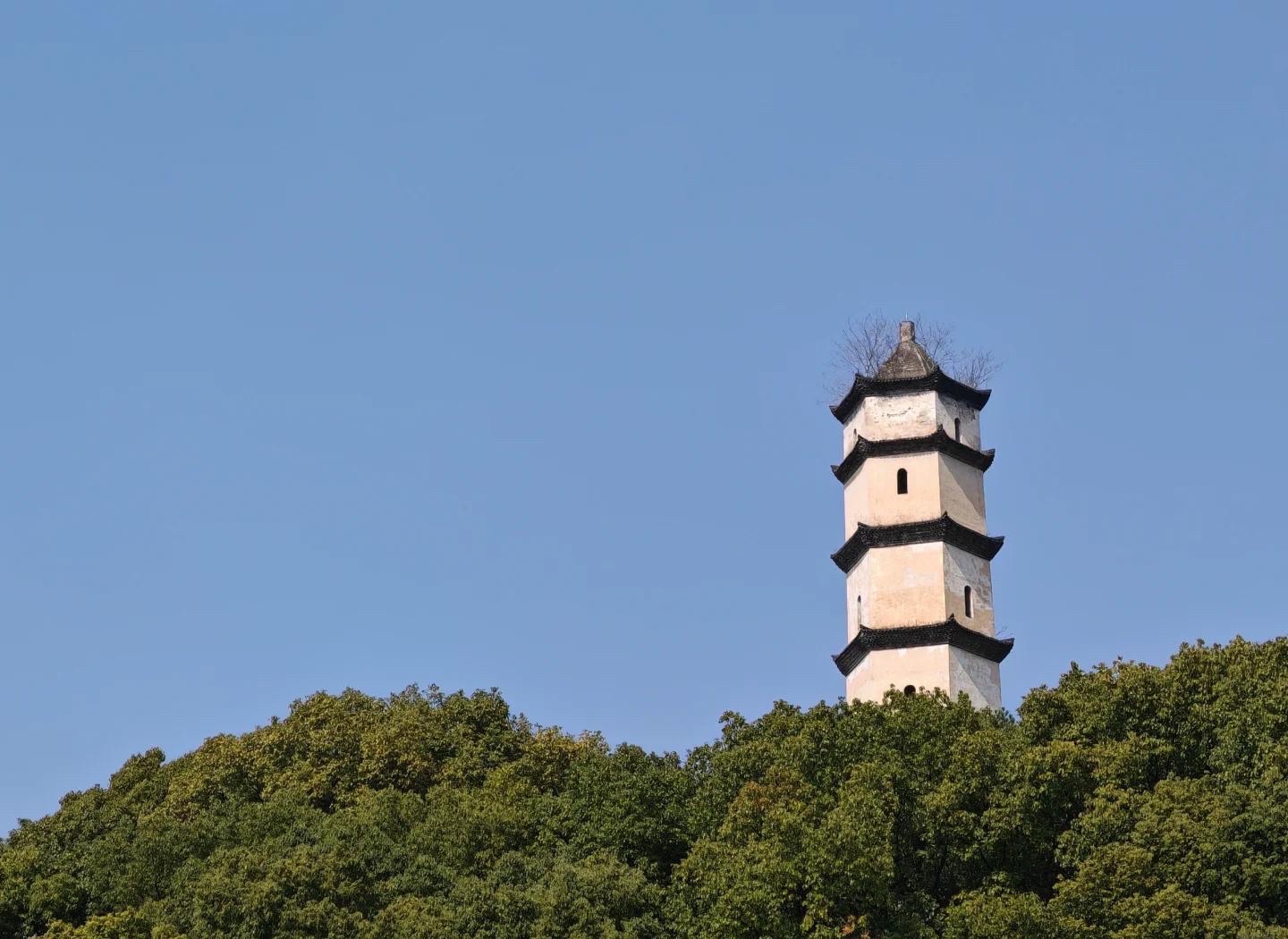 塔下洲公园