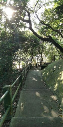 Gallery 2