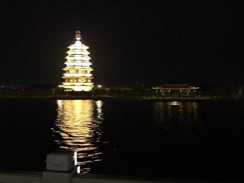 涟漪湖黄嘴白鹭省级自然保护区旅行图片 1