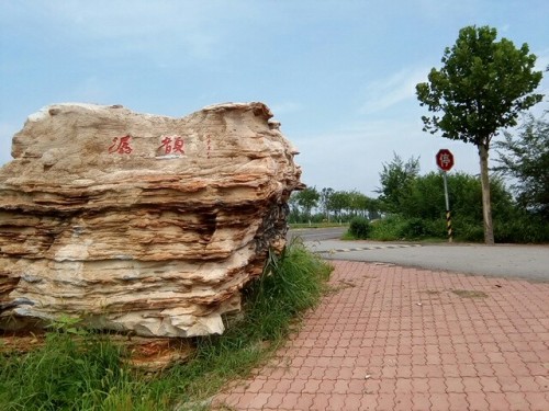 东张务湿地旅行图片 2