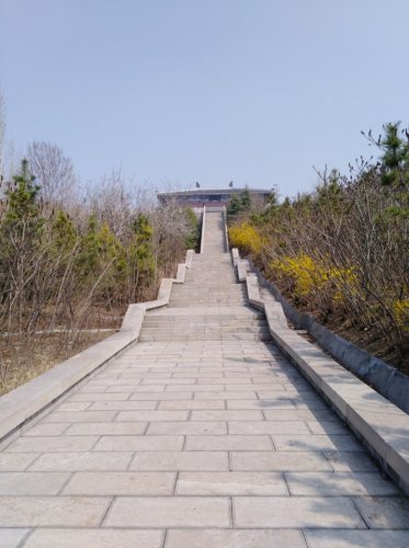 奚仲古墓旅行图片 2