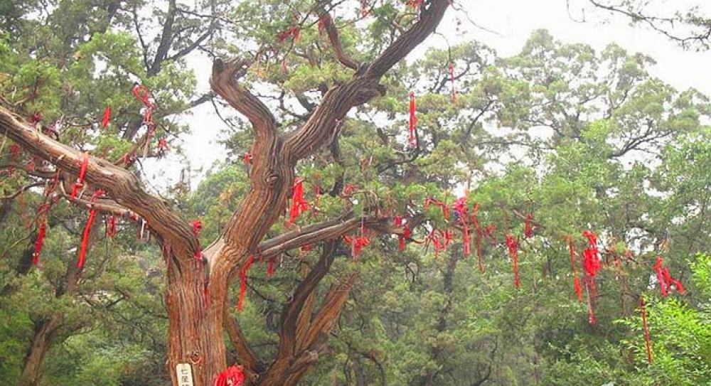 交城卦山景区景点图片