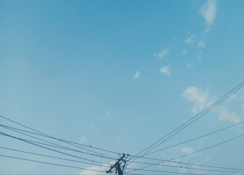 中心花园旅行图片 1