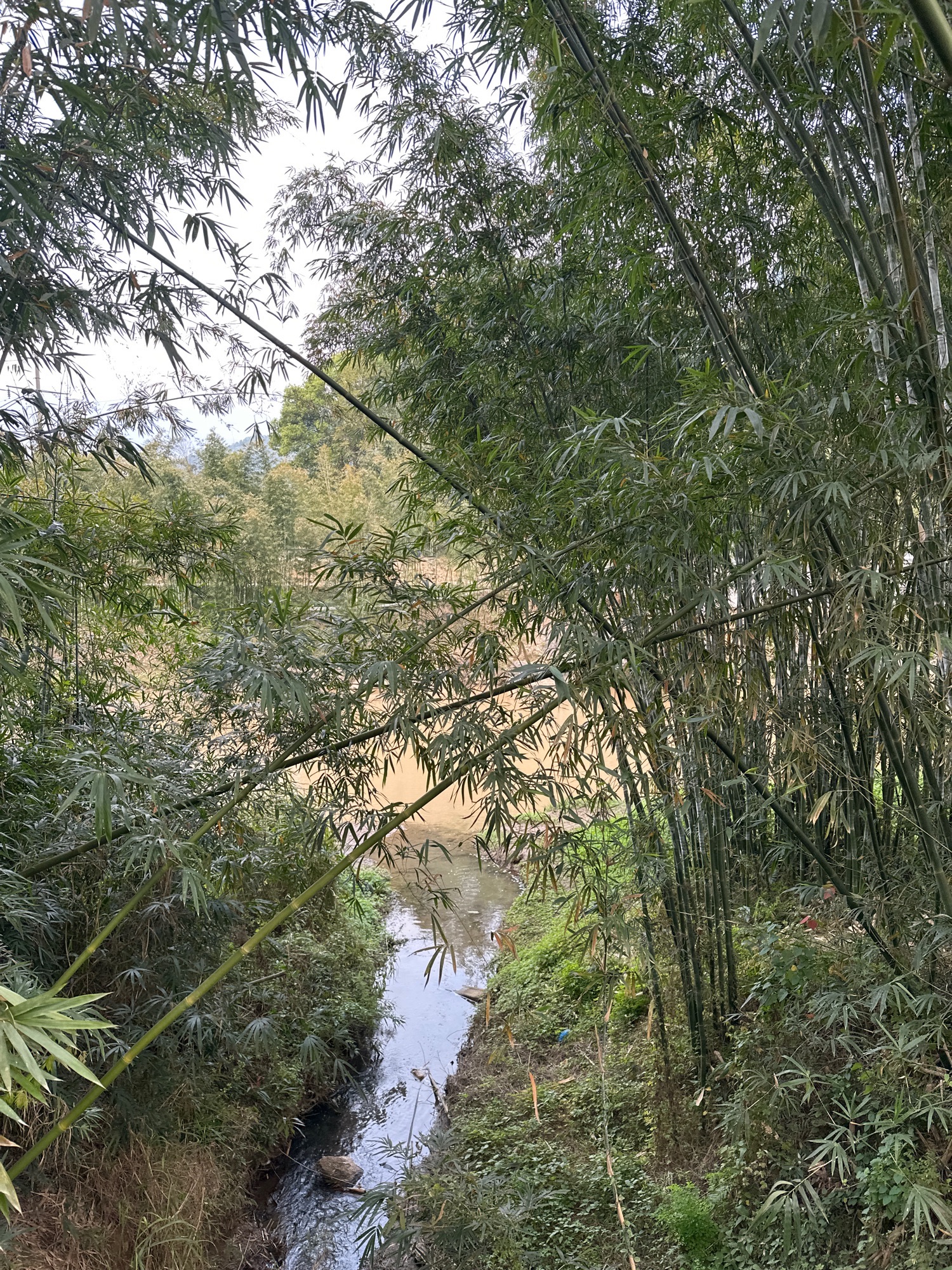 双象寺实景照片