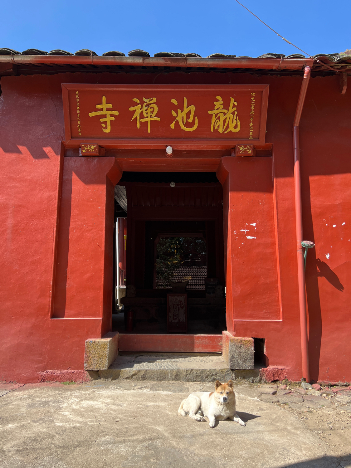 龙池禅寺实景照片