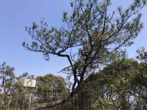 姬岩风景区旅行图片 3