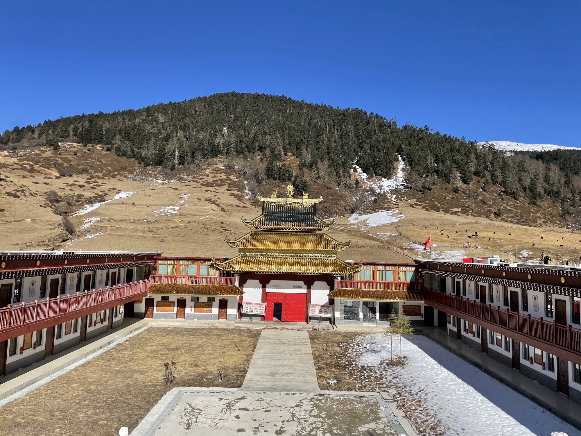 康坞大寺实景照片