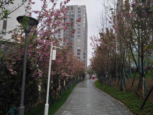 共享花园旅行图片 3