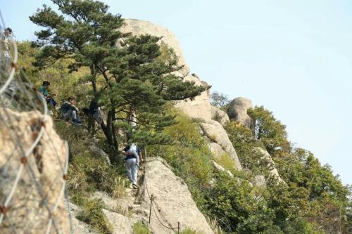 牙山省级自然保护区(不对外开放)旅行图片 2
