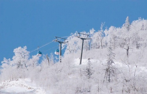 尚志亚布力滑雪场