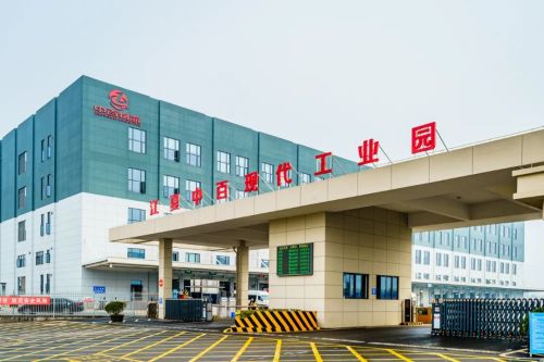 江夏中百现代工业园实景图（2）