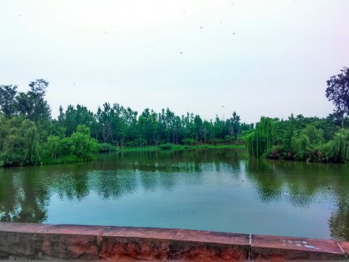 成都绿道景观(不对外开放)旅行图片 3