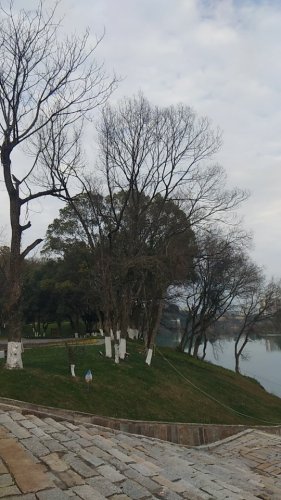 浮梁昌江百里风光带旅行图片 1