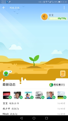 蚂蚁森林4号林·梭梭旅行图片 3