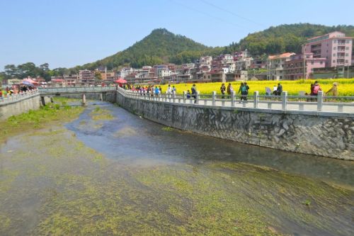 洛江虹山油菜花旅行图片 2