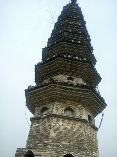 灵芝塔旅行图片 1