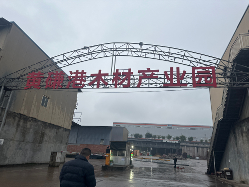 黄磏港木材产业园实景图