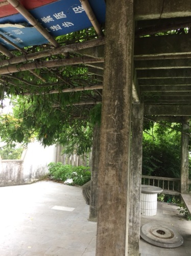咸祥镇金山公园旅行图片 1
