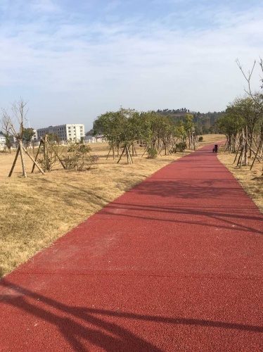 南充高铁公园旅行图片 2